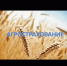 Уважаемые руководители хозяйств, главы КФХ! - Ермекеевский район