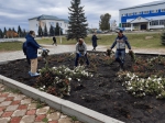 Прошел субботник