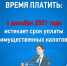 Время платить: 1 декабря 2021 года истекает срок уплаты имущественных налогов - Ермекеевский район